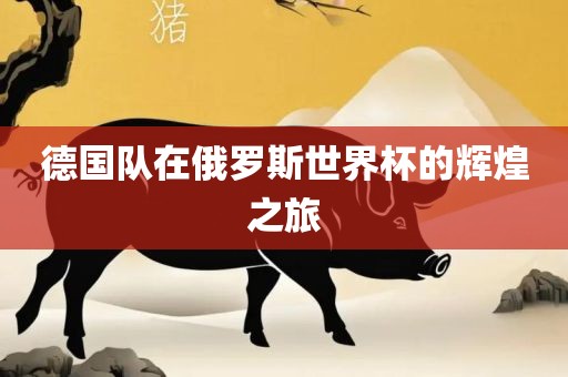 德国队在俄罗斯世界杯的辉煌之旅广西贺州市华昌新材料有限公司