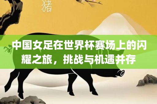 中国女足在世界杯赛场上的闪耀之旅，挑战与机遇并存