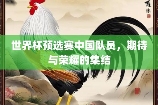 世界杯预选赛中国队员，期待与荣耀的集结广西贺州市华昌新材料有限公司