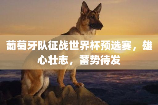 世界杯预选赛 第4页