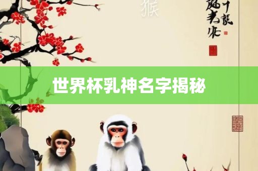 世界杯乳神名字揭秘广西贺州市华昌新材料有限公司
