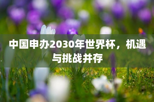 中国申办2030年世界杯，机遇与挑战并存