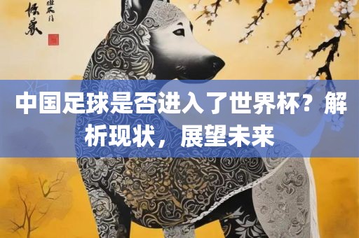 中国足球是否进入了世界杯？解析现状，展望未来广西贺州市华昌新材料有限公司