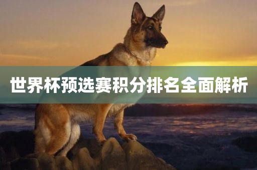 世界杯预选赛积分排名全面解析广西贺州市华昌新材料有限公司