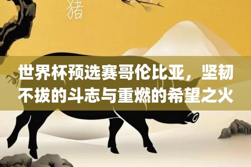 世界杯预选赛哥伦比亚，坚韧不拔的斗志与重燃的希望之火广西贺州市华昌新材料有限公司