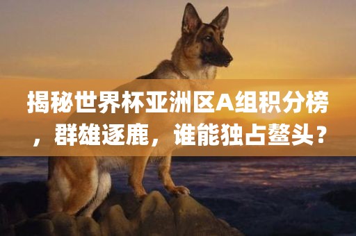 揭秘世界杯亚洲区A组积分榜，群雄逐鹿，谁能独占鳌头？广西贺州市华昌新材料有限公司