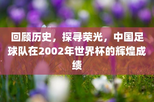 回顾历史，探寻荣光，中国足球队在2002年世界杯的辉煌成绩