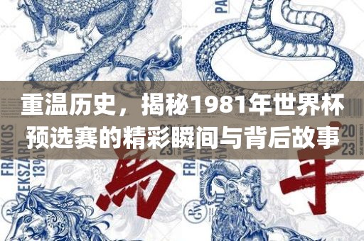 重温历史，揭秘1981年世界杯预选赛的精彩瞬间与背后故事广西贺州市华昌新材料有限公司