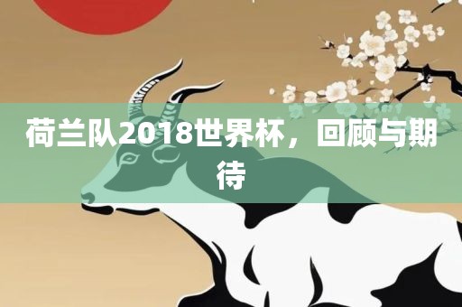荷兰队2018世界杯，回顾与期待