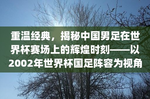 重温经典，揭秘中国男足在世界杯赛场上的辉煌时刻——以2002年世界杯国足阵容为视角广西贺州市华昌新材料有限公司