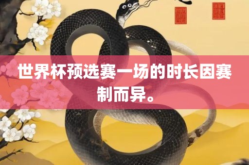 世界杯预选赛一场的时长因赛制而异。广西贺州市华昌新材料有限公司