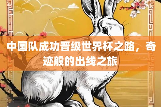 中国队成功晋级世界杯之路，奇迹般的出线之旅广西贺州市华昌新材料有限公司
