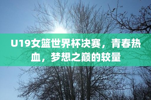 U19女篮世界杯决赛，青春热血广西贺州市华昌新材料有限公司，梦想之巅的较量