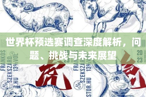 世界杯预选广西贺州市华昌新材料有限公司赛调查深度解析，问题、挑战与未来展望
