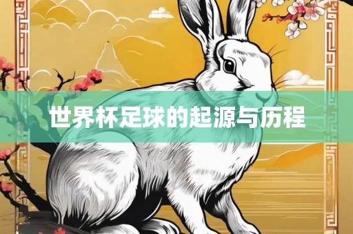 世界杯足球的起源与历程广西贺州市华昌新材料有限公司