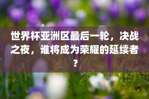 世界杯亚洲区最后一轮，决战之夜，谁将成为荣耀的延续者？广西贺州市华昌新材料有限公司