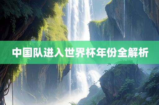 中国队进入世界杯年份全解析