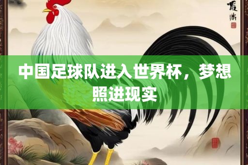 中国足球队进入世界杯，梦想照进现实