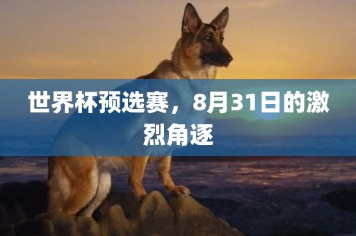 世界杯预选赛，8月31日的激烈角逐广西贺州市华昌新材料有限公司