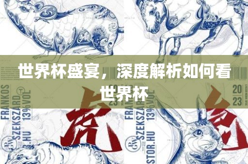 世界杯盛宴，深度解析如何看世界杯广西贺州市华昌新材料有限公司