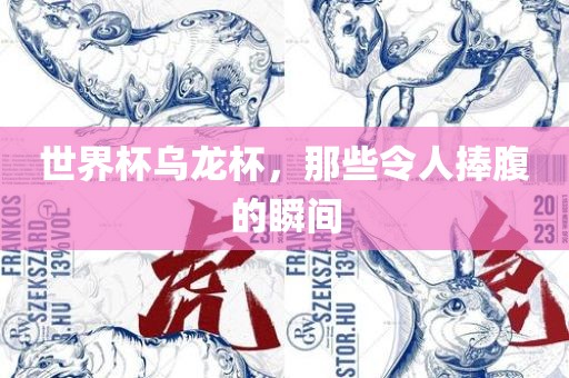世界杯乌龙杯，那些令人捧腹的瞬间广西贺州市华昌新材料有限公司