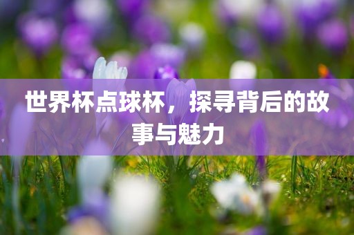 世界杯点球杯，探寻背后的故事与魅力