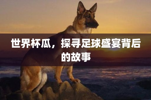 世界杯瓜，探寻足球盛宴背后的故事广西贺州市华昌新材料有限公司