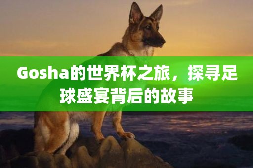 Gosha的世界杯之旅，探寻足球盛宴背后的故事广西贺州市华昌新材料有限公司