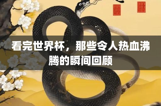 看完世界杯，那些令人热血广西贺州市华昌新材料有限公司沸腾的瞬间回顾
