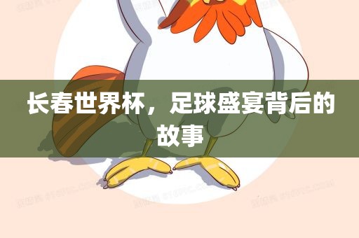 长春世界杯，足球盛宴背后的故事广西贺州市华昌新材料有限公司