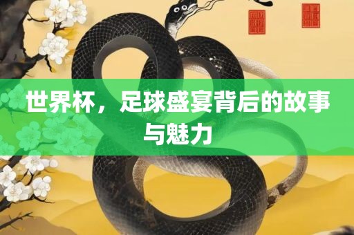 世界杯，足球盛宴背后的故事与魅力