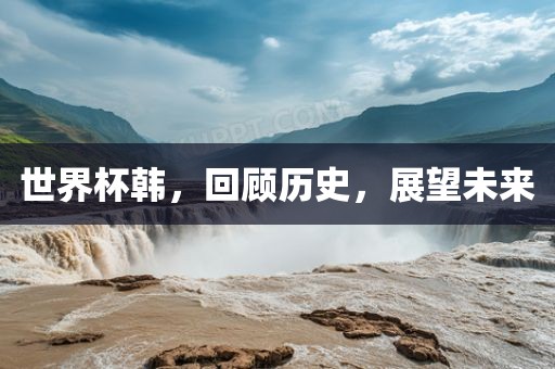 世界杯韩，回顾历史，展望未来