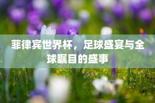 菲律宾世界杯，足球盛宴与全球瞩目的盛事广西贺州市华昌新材料有限公司