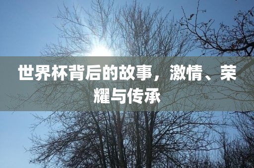 世界杯背后的故事，激情、荣耀与传承广西贺州市华昌新材料有限公司
