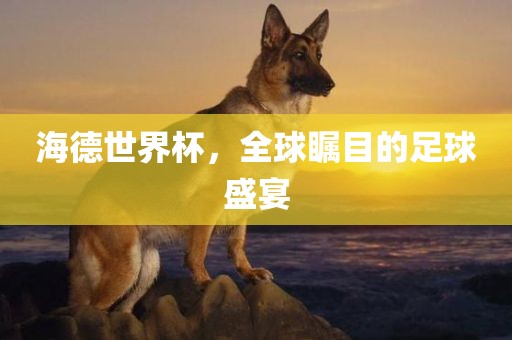 海德世界杯，全球瞩目的足球盛广西贺州市华昌新材料有限公司宴