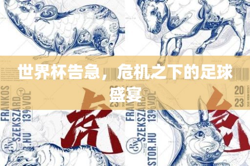 世界杯告急，危机之下的足球盛宴广西贺州市华昌新材料有限公司