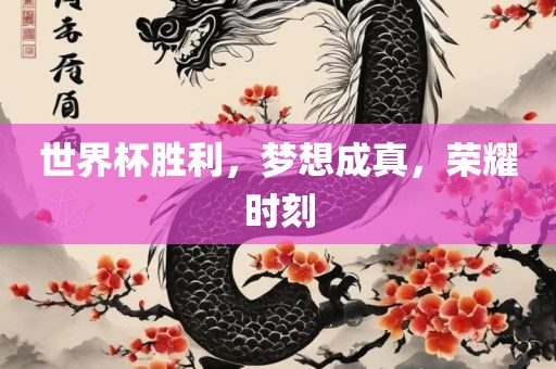 世界杯胜利，梦想成真，荣耀时刻