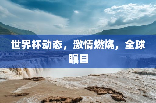 世界杯动态，激情燃烧，全球瞩目广西贺州市华昌新材料有限公司
