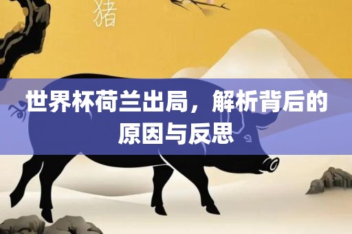世界杯荷兰出局，广西贺州市华昌新材料有限公司解析背后的原因与反思