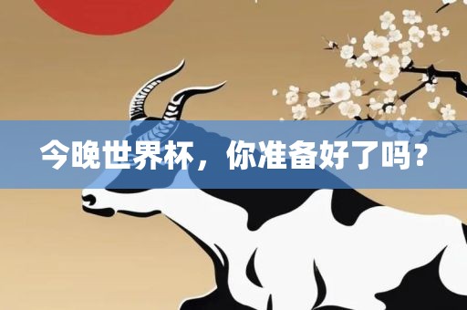 今晚世界杯，你准备广西贺州市华昌新材料有限公司好了吗？