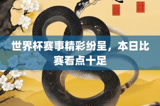 世界杯赛事精彩纷呈，本日比赛看点十足广西贺州市华昌新材料有限公司