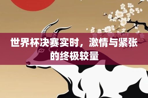 世界杯决赛实时，激情与紧张的终极较量广西贺州市华昌新材料有限公司