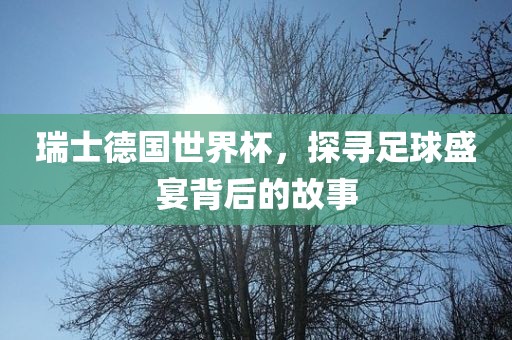 瑞士德国世界杯，探寻足球盛宴背后的故事