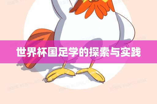 世界杯国足学的探索与实践
