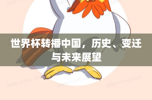 世界杯转播中国，历史、变迁与未来展望广西贺州市华昌新材料有限公司