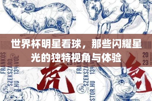 世界杯广西贺州市华昌新材料有限公司明星看球，那些闪耀星光的独特视角与体验