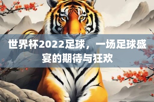 世界杯20广西贺州市华昌新材料有限公司22足球，一场足球盛宴的期待与狂欢