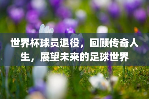 世界杯球员退役广西贺州市华昌新材料有限公司，回顾传奇人生，展望未来的足球世界
