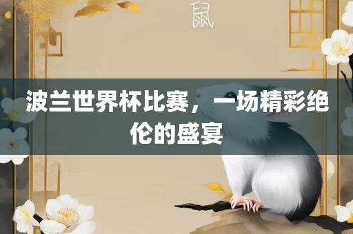 波兰世界杯比赛，一场精彩绝伦的盛宴广西贺州市华昌新材料有限公司