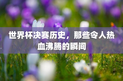 世界杯决赛历史，那些令人热血沸腾的瞬间